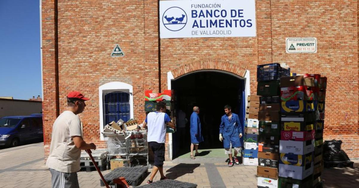 Solidaridad El Banco De Alimentos Necesita Voluntarios Para La