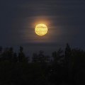 Superluna Azul sobre Valladolid.-M. Á. SANTOS/PHOTOGENIC