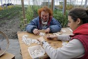 Selección manual de habas en una explotación ecológica en el Valle de Tobalina (Burgos). Ricardo Ordóñez. / ICAL