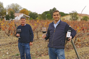 Juan Carlos Ayala y Gonzalo Fernández entre los viñedos de La Legua, en Cigales. / E. M.