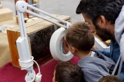 Un niño observa las abejas de una colmena a través de una lupa en una feria de oficios tradicionales.-EL MUNDO