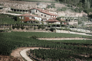 La finca gallega de A Vilerma. E.M.