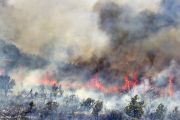 Incendio en la localidad zamorana de Losacio. ICAL