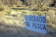 Un cartel anuncia 'vedado de pesca' en una zona seca cercana al embalse entre La Santa Espina y Castromonte.-Santiago