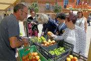 Visitantes del Mercado Ecológico de Cigales compran productos naturales en uno de los puestos.-J. M. LOSTAU