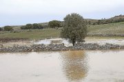 El temporal ‘Gisela’ provoca inundaciones ayer en Tardobispo (Zamora).-ICAL