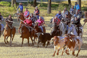 Los caballistas ‘arrean’ a la manada para conducirla a las calles.-J.M.LOSTAU