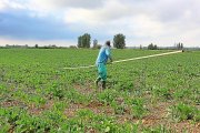 Un agricultor prepara los tubos para dejar a punto el riego de su campo de remolacha en la localidad palentina de Villoldo.-BRÁGIMO