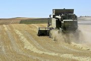 Una cosechadora recoge cereal en una explotación agrícola de la provincia de Zamora. / J. L. LEAL