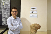 El experto Fidel Torcida, con raíces en la comarca salense, en una de las dependencias del Museo de los Dinosaurios de Salas de los Infantes (Burgos) -que dirige desde hace 17 años-, junto a un hueso del Demandasaurus.-E. M.