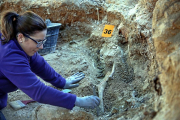 Una voluntaria de la Asociación para la Memoria Histórica de Valladolid trabaja en la fosa del Carmen, en el último día de excavaciones.-ICAL