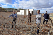 De izda. a dcha.: Jesús Ángel Martín (responsable de campo); Avelino Gozalo (socio); José Miguel Vaquero (gerente); y Fernando Valenti (asistente de enología), en el viñedo que está junto a la bodega (al fondo).-ARGICOMUNICACIÓN