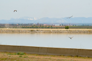 Embalse de Villalón, de 117 hectáreas.