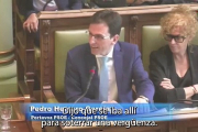 Intervención de Pedro Herrero en el pleno del Ayuntamiento