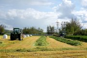 Siega de alfalfa en una explotación agrícola de Tierra de Campos (Valladolid)