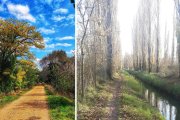 El paseo del Río Esgueva combina caminos entre árboles y tramos junto al agua en uno de los recorridos más desconocidos de Valladolid