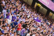 Seguidores blanquivioleta en Zorrilla.