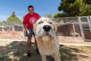 Héctor Sastre, en el centro canino La Yosa, perrera provincial ubicada en Simancas.