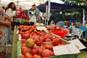 Feria del Tomate de Tudela de Duero.