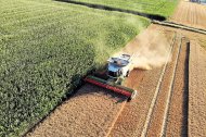 Una cosechadora recoge el grano en un campo de cereal