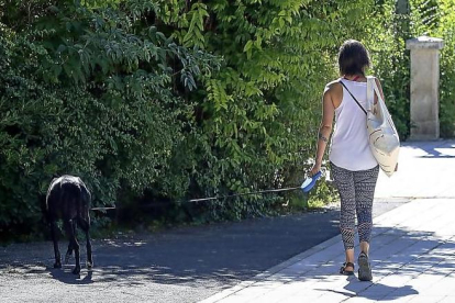 Una mujer pasea a su perro en las calles de Valladolid. -PHOTOGENIC