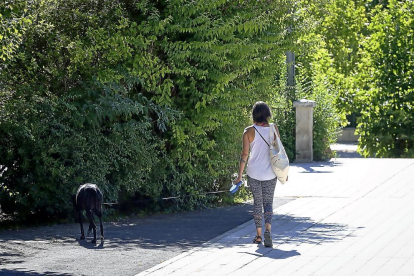 Una mujer pasea a su perro en las calles de Valladolid. -PHOTOGENIC