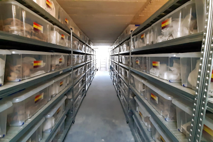 Las cajas con los restos de represaliados, depositadas en estanterías en el memorial del cementerio de El Carmen