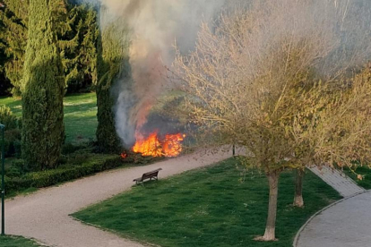 Arde un árbol en Villa de Prado.