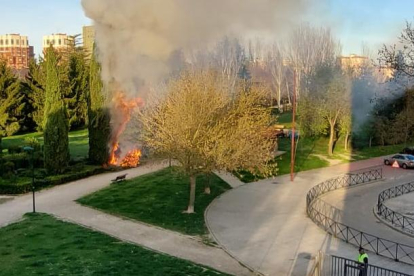 Arde un árbol en Villa de Prado.