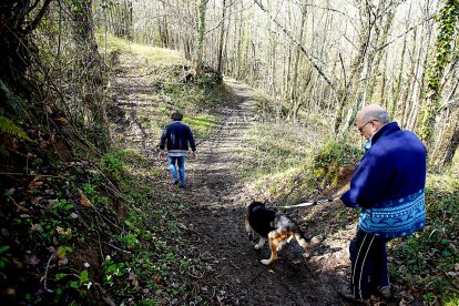 Soto de castaños de la localidad de Villar de los Barrios en Ponferrada designado ‘Bosque del año 2024’
