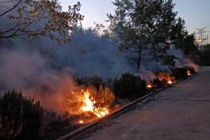 Los bomberos sofocan varios incendios en Arroyo de la Encomienda y Corcos del Valle