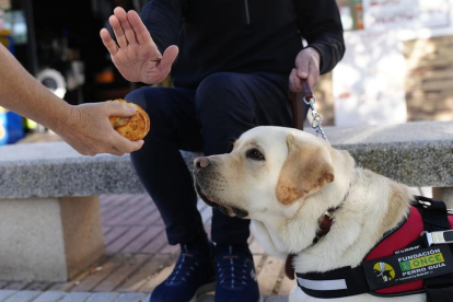 El usuario de un perro guía rechaza comida que se ofrecía al animal.