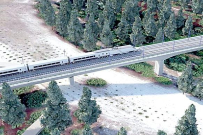 Viaducto sobre la Zona de Especial Conservación ‘Riberas del Adaja y Afluentes’, una de las estructuras que forman parte del proyecto. E. M.