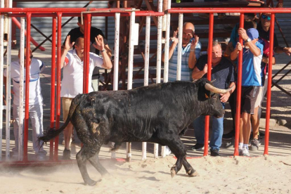 Los aficionados citan al toro en el encierro de la Seca. PHOTOGENIC
