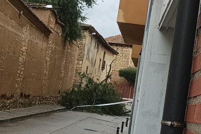 Medina de Rioseco tras el paso de la tormenta