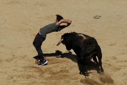Encierro urbano hasta la plaza de toros en plaza de Simancas