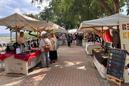 Feria de Artesanía "Todo en tus manos" en la celebración del Día del Turismo Rural en Castronuño.