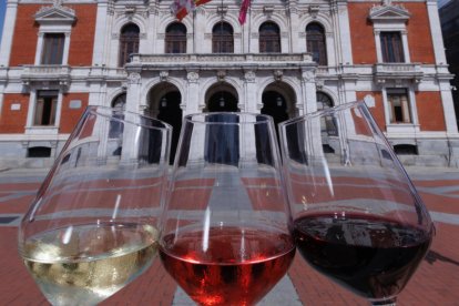 Imagen de copas de vino de diferentes denominaciones de archivo