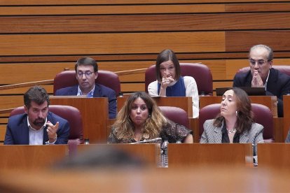 Primera sesión del Pleno de las Cortes autonómicas, que comienza con las preguntas orales de control al Ejecutivo autonómico.