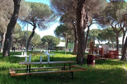 Imagen de archivo de la zona joven del Pinar de Antequera en Valladolid.