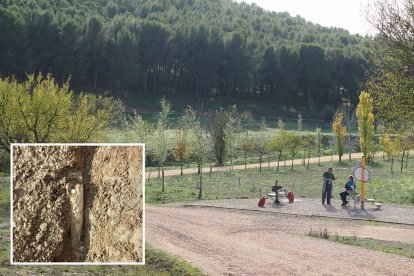 Fósil hallado en el cerro de Las Contiendas