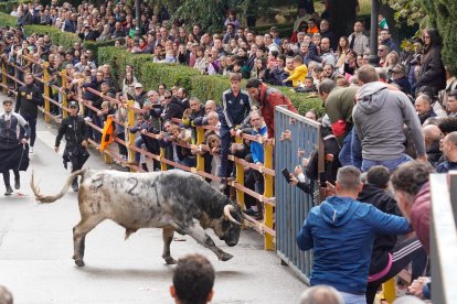 Encierro de la Fiesta de la Salchicha de Zaratán.