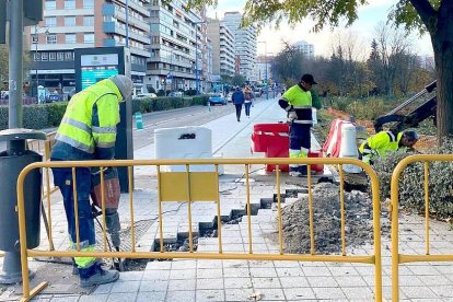 Obras del nuevo carril bici en Las Moreras. E. M.