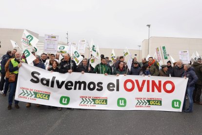 UCCL convoca una concentración con el lema 'Salvemos el ovino' para exigir contratos justos y protestar por los costes altos y precios bajos en el sector.
