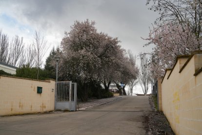Acceso al centro de menores Zambrana
