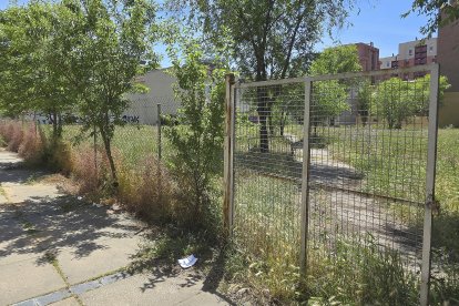 Parcela junto a la calle Gavilla, en Huerta del Rey, donde se construirán las 56 viviendas colaborativas.