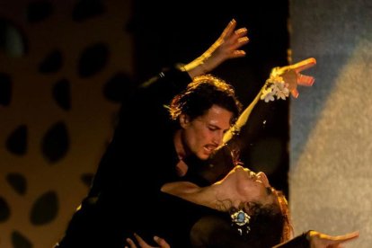 Espectáculo de flamenco La Vida es