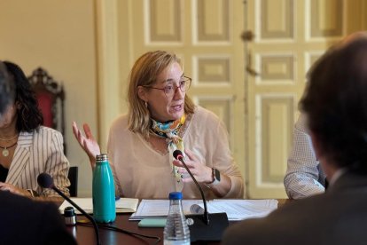 La portavoz de VTLP, Rocío Anguita.