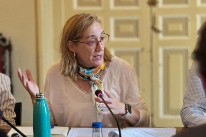 La portavoz de VTLP, Rocío Anguita.