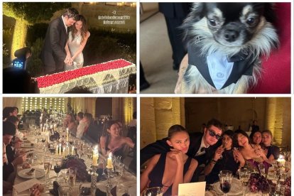 Mejores imágenes de la boda de la hija de Banderas